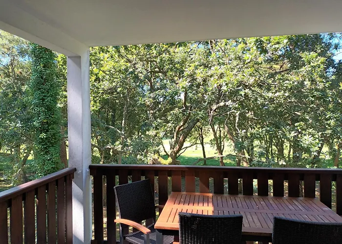 Moliets Plage Appartement Pour 4 Piscine Proche Plage Et Commerces