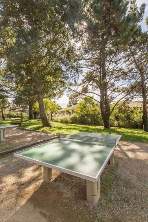 Apartment Pour 4 Piscine Proche Et Commerces *
